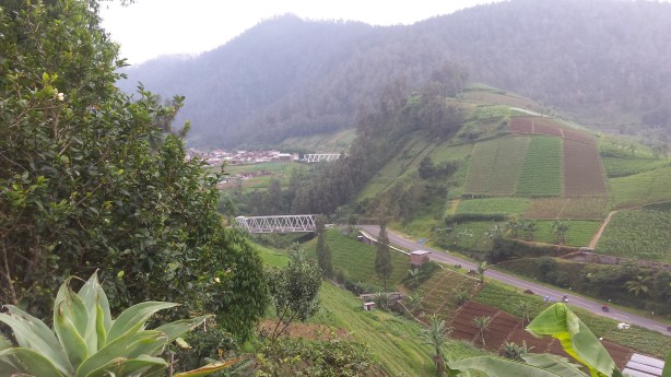 View of the much less steep new road from my vantage point on the old road