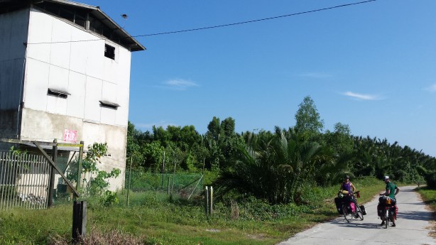 The bird saliva factory