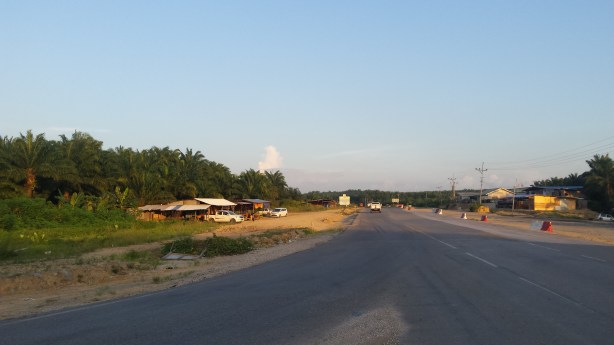 Green desert outpost