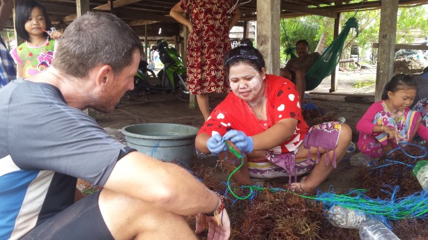 Harvesting seaweed