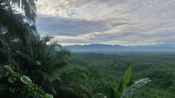 View over the plains