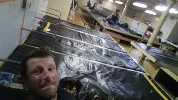 The boat from Makassar to Surabaya