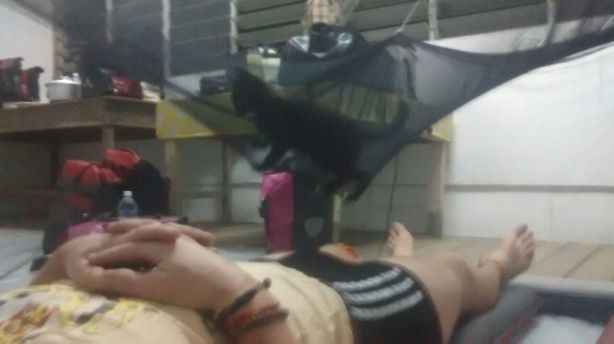 Using the mosquito and kitten net