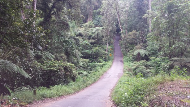 Steep on the way down