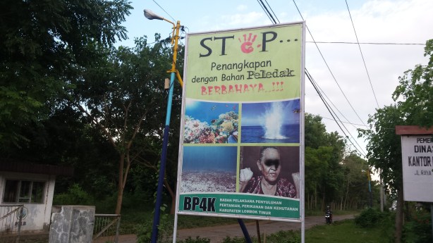 Don't destroy the coral