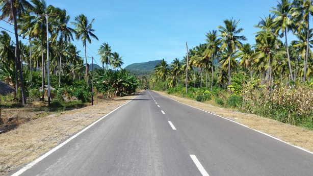 The road to Larantuka