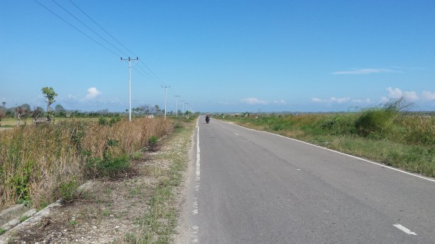 The plains in Timor