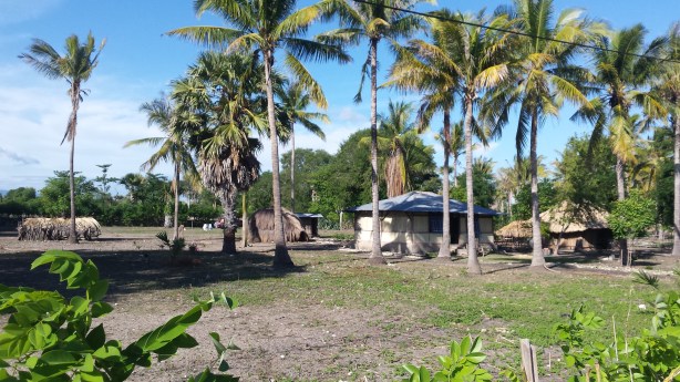 Hut between the trees