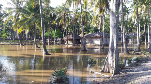 A watery environment