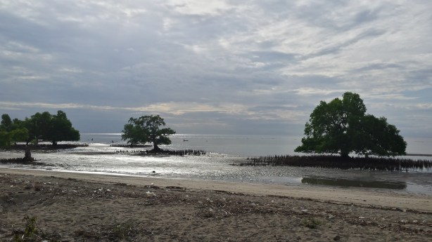 From the coastal road