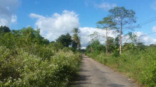 The road to the end of the island