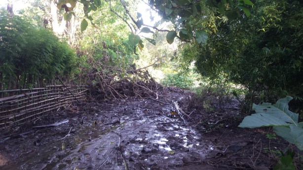 The mud bath (one of many)