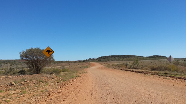 On the road to Kings Canyon