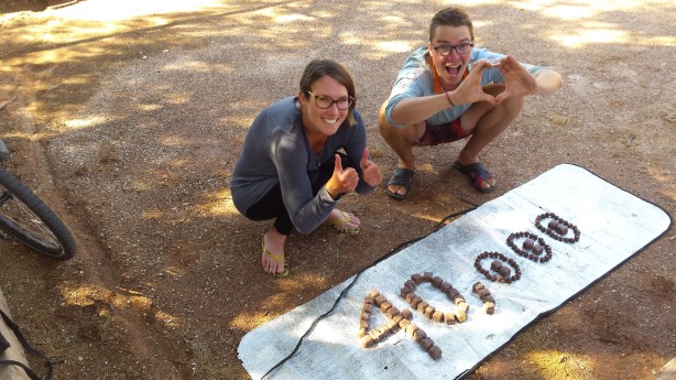 40000 km in Violet Crumbles