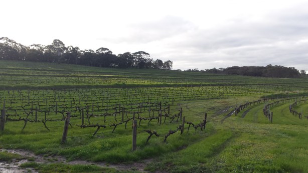 Clare valley