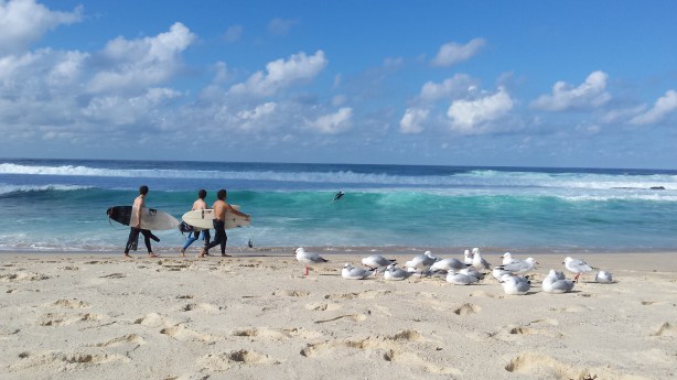 My run to Bronte Beach.