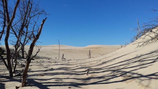 The dunes start