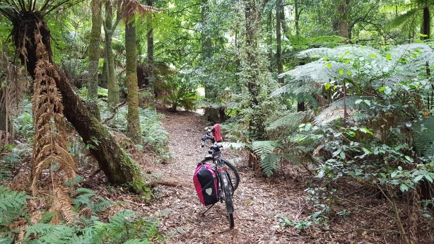 Cathedral of Ferns