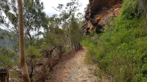 Bowens Creek Road