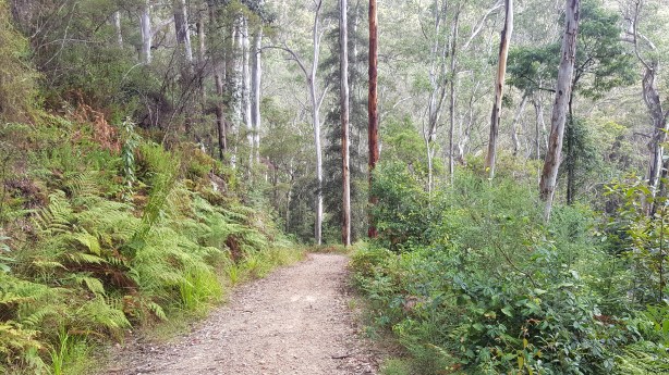 On the way to Bedford Creek