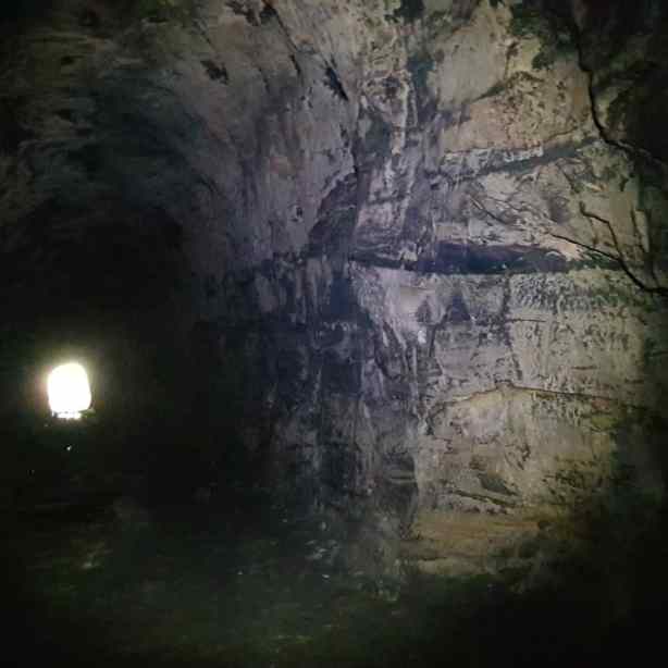 The Glowworm tunnel
