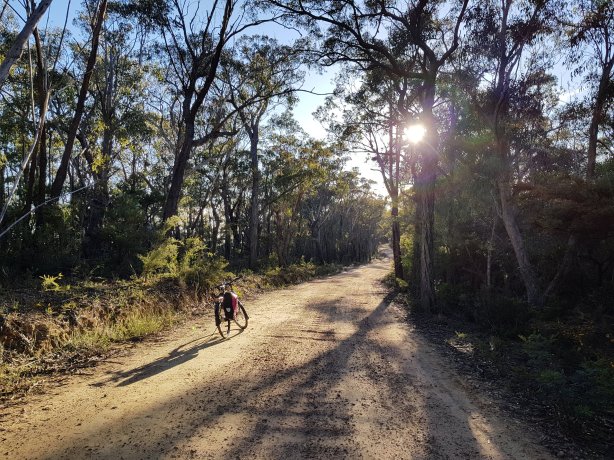 Kings Tableland Road