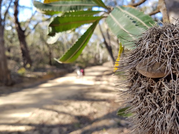 Kings Tableland Road