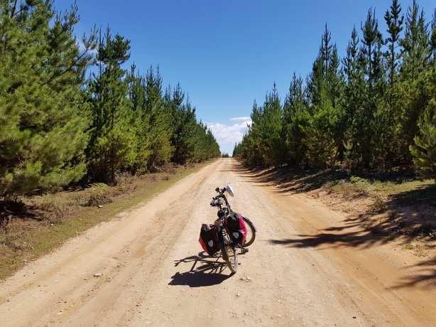 Road to the Glowworm Tunnel