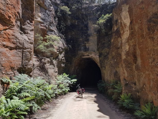 Road to the Glowworm Tunnel