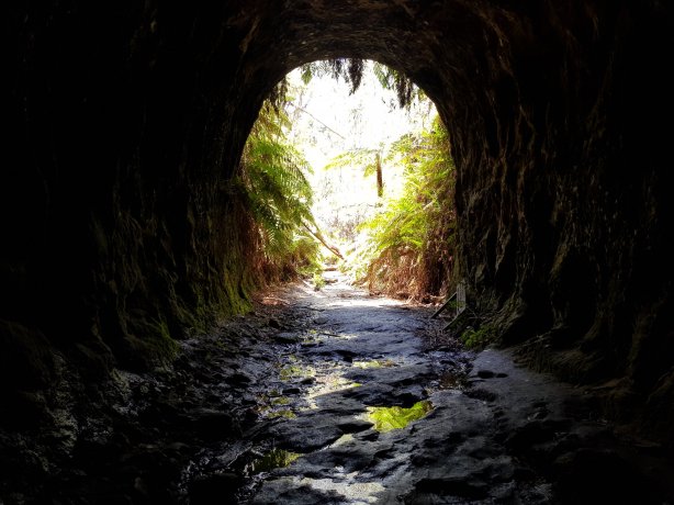 Glowworm Tunnel