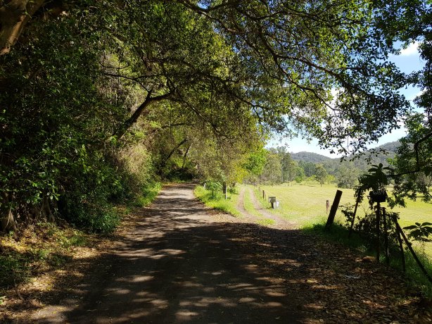 Road along the Colo River