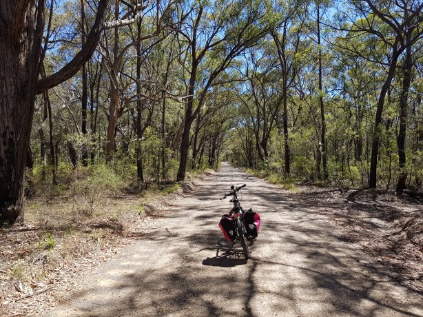 Heading towards Wheeny Creek