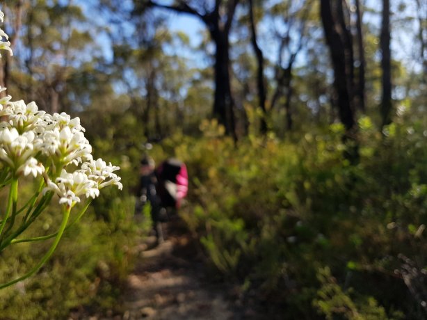 The path to Lost World