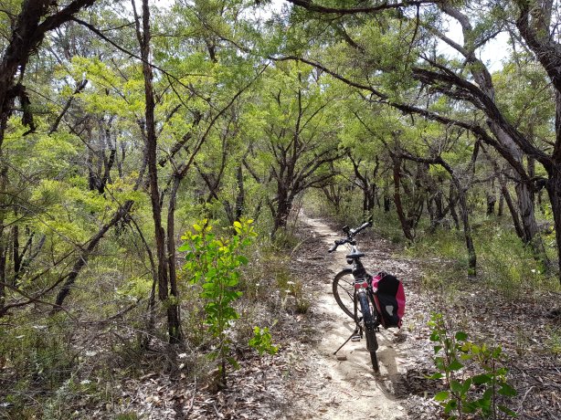 The path to Duck Hole
