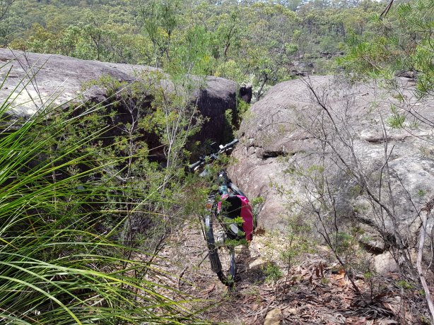 The path to Duck Hole