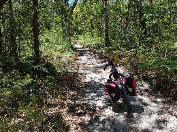 The road to Tin City