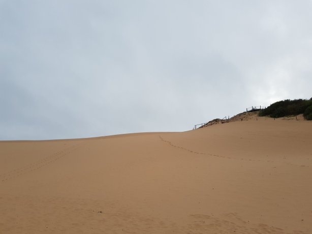The Cronulla sand dunes