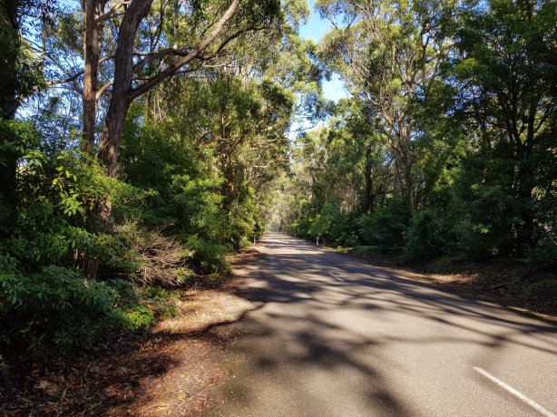 The road to Wombeyan Caves