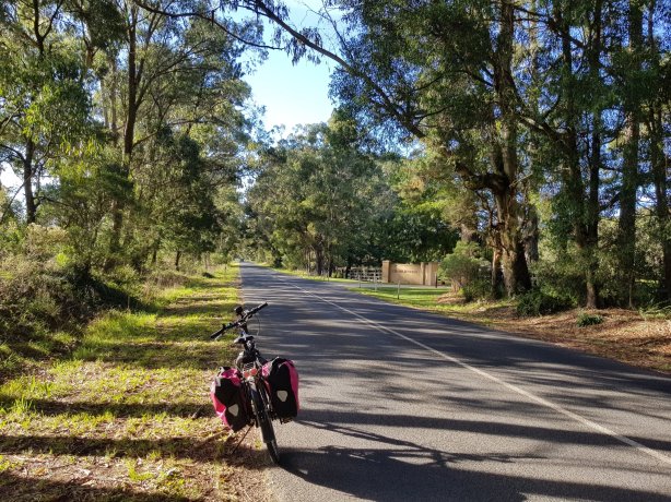 On the way to Fitzroy Falls