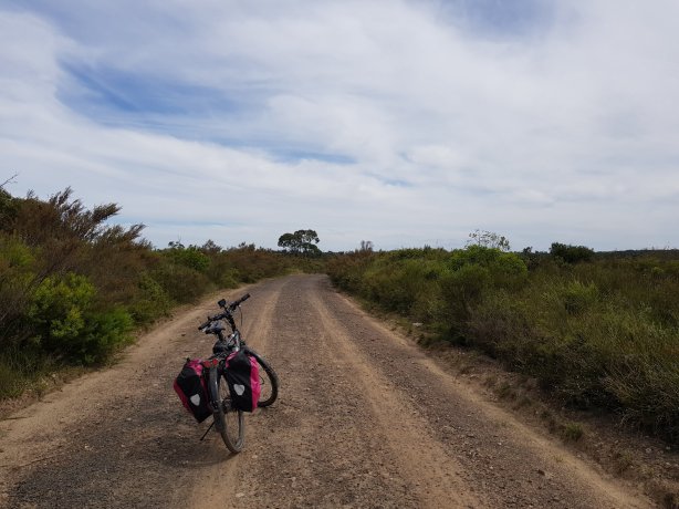 On the way to Gerrigong Falls