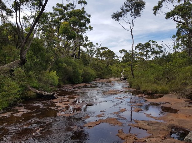 On the way to Gerrigong Falls