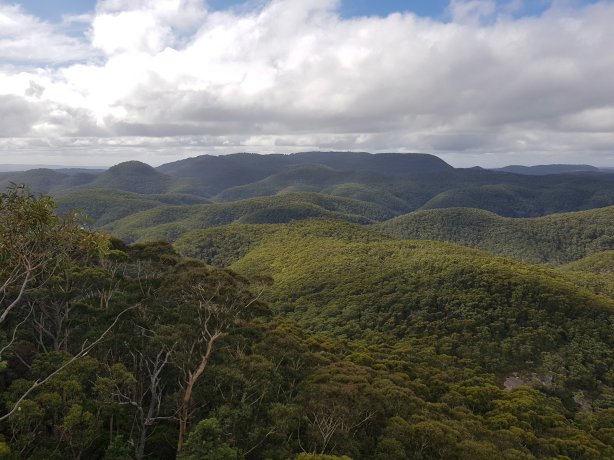 Wynns lookout