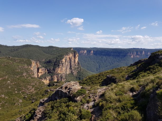 View from Lockley's Pylon