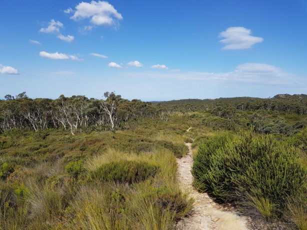 Road from Lockley's Pylon