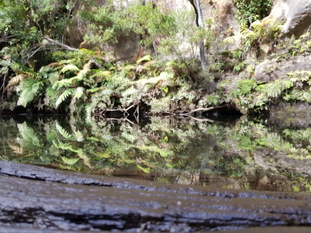 At the starting beach