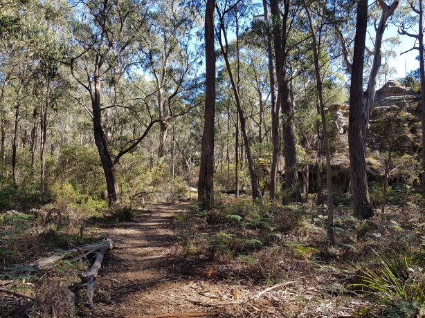 The path to the canyon