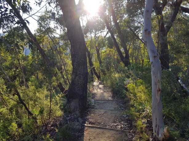 The path to Victoria Falls