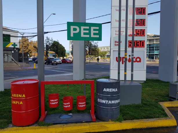 A nice lawn for urination