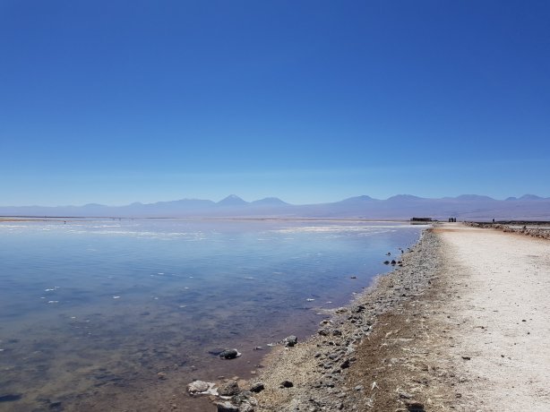 Laguna Chaxa