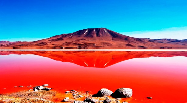 Laguna Colorada